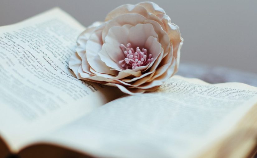Detailed Analysis of the Four Core Modules of AMC12! A Complete Long-Term Preparation Guide for AMC10/12!