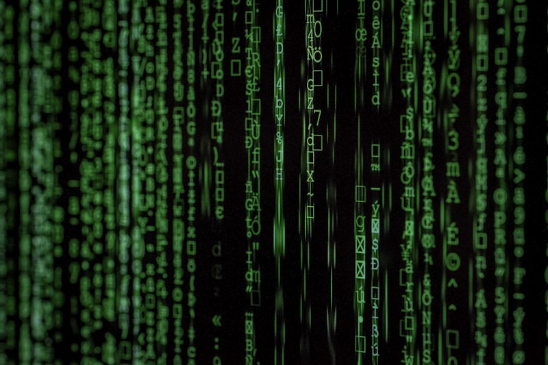 The mathematics competition ecosystem