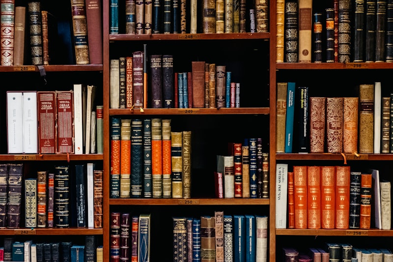 Rows of books on library shelves representing accumulated knowledge